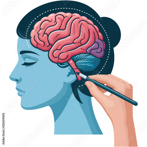 human brain model