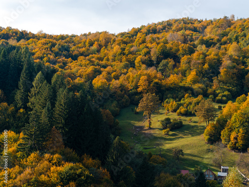 Village Transcarpathia region scenic Sunny Carpathian mountains view Ukraine, Europe. Autumn countryside rural landscape. Fall spruce pine trees lush foliage Eco Local tourism hiking Recreational area