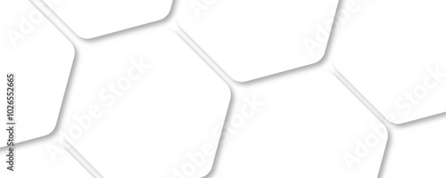 Minimalist modern graphic design element cutout style concept for banner. Abstract honeycomb white background Hexagon panorama white background.  Abstract white and gray color hexagonal geometric.