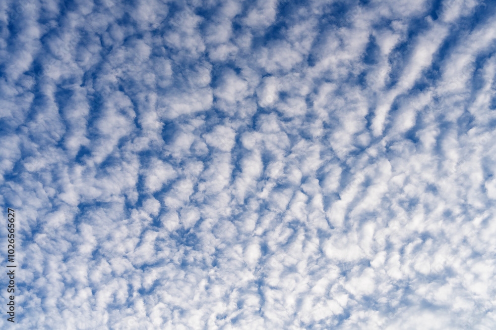 white clouds covering the blue sky white clouds covering the blue sky