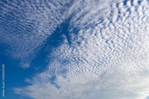 white clouds covering the blue sky