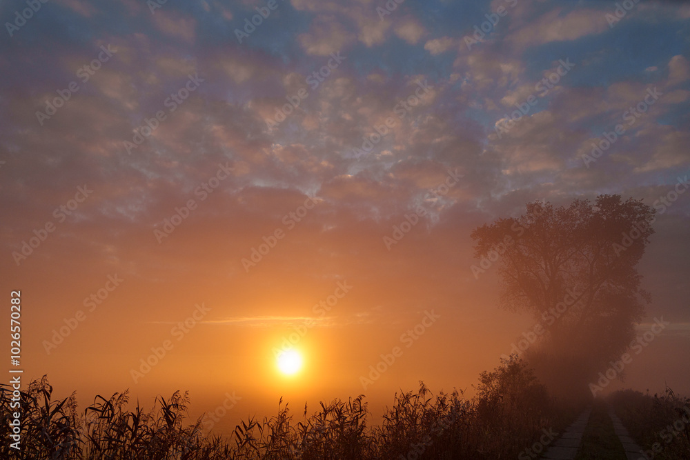 Sonnenaufgang mit Frühnebel Sonnenaufgang mit Frühnebel
