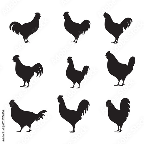 set of chicken vector