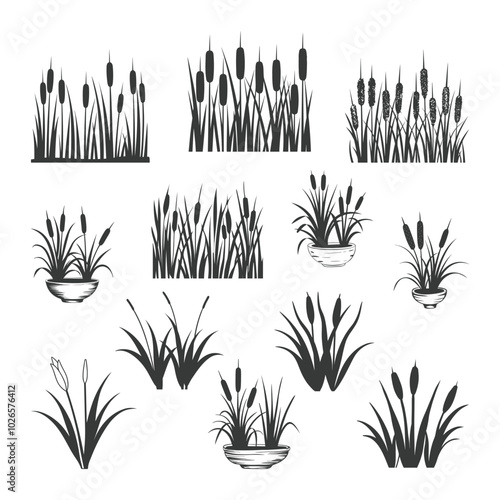 Cattail Vector, Bulrush Plant SVG Bundle, Cattail Clipart, Grass Silhouette, Cattail Flower Eps, Cricut, Cut File