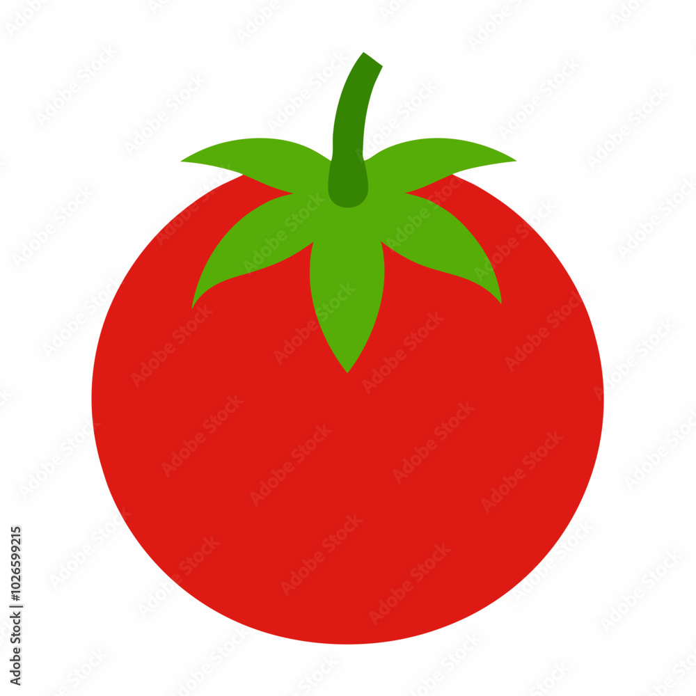 Tomato Solanum lycopersicum creative vector design Tomato Solanum lycopersicum creative vector design