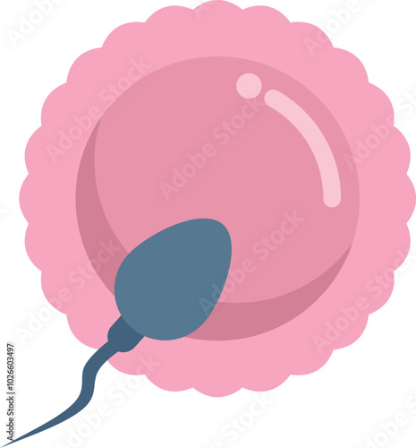 Single spermatozoon is fertilizing a pink ovum, depicting the beginning of human life