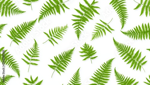 Seamless pattern of delicate fern leaves on a white background, perfect for a natural, elegant plant-themed design