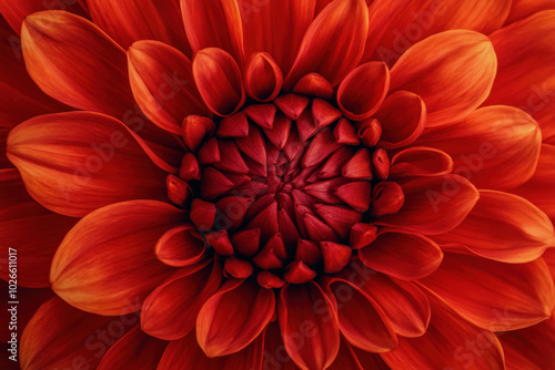 Close-up of a red flower in bloom against green leaves, showcasing vibrant petals and delicate details.