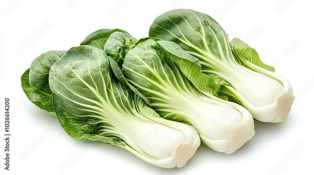 Bok Choy isolated on white background Bok Choy isolated on white background