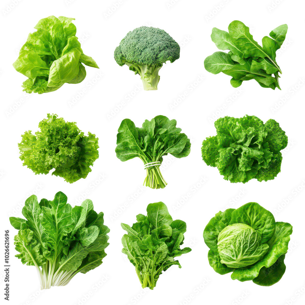 Top View Collection of Fresh Leafy Greens: Vibrant, Healthy, and Nutritious Vegetables for a Wholesome Diet Top View Collection of Fresh Leafy Greens: Vibrant, Healthy, and Nutritious Vegetables for a Wholesome Diet