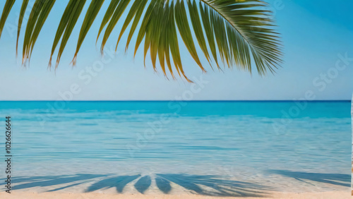 A tropical palm tree over a turquoise ocean