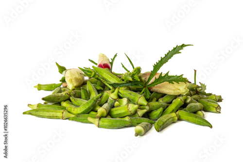 Small size Edirne region okra on a white background