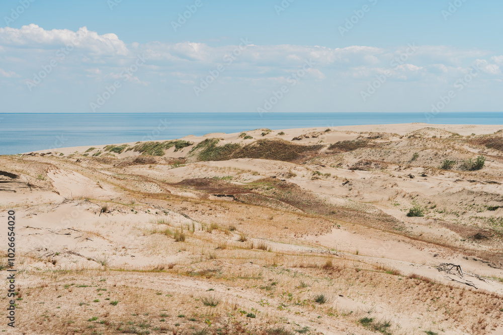 Hilly natural landscapes in the Curonian Spit Nature Reserve in Kaliningrad. Hilly natural landscapes in the Curonian Spit Nature Reserve in Kaliningrad.