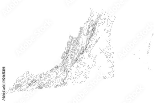Virginia State Elevation Contour Map SVG - Topographic Terrain Lines for Geographic Design & Cartography. Vector Atlantic Relief