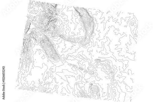 Wyoming State Elevation Contour Map SVG - Topographic Terrain Lines for Geographic Design & Cartography. Vector Mountain Relief.