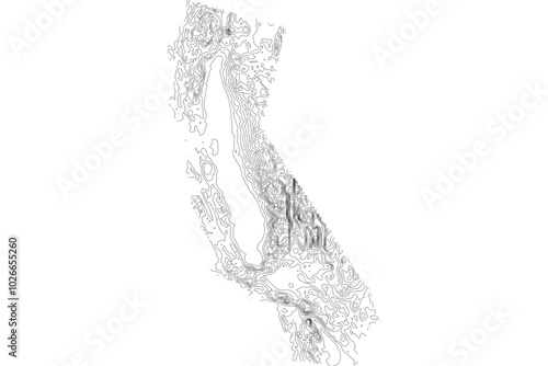 California State Elevation Contour Map SVG - Topographic Terrain Lines for Geographic Design & Cartography Projects. Vector Relief.