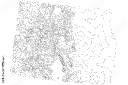 Colorado 1-bit contour map topography. Detailed elevation terrain lines in minimalist black and white vector graphic style. Scalable SVG file for cartography, GIS visualization, graphic design