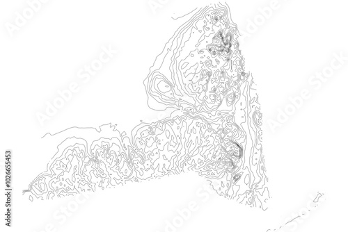 New York 1-bit contour map topography. Detailed elevation terrain lines in minimalist black and white vector graphic style. Scalable SVG file for cartography, GIS visualization, graphic design