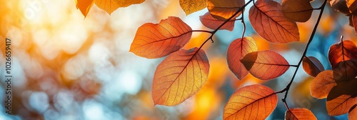 Sunset casts warm hues on backlit autumn leaves hanging from a branch, evoking warmth and peace. photo