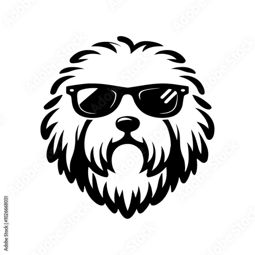 A Komondor dog with sunglasses