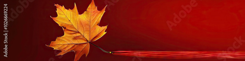 Wallpaper Mural A vivid red background highlights the striking fall of a single, golden leaf. Torontodigital.ca