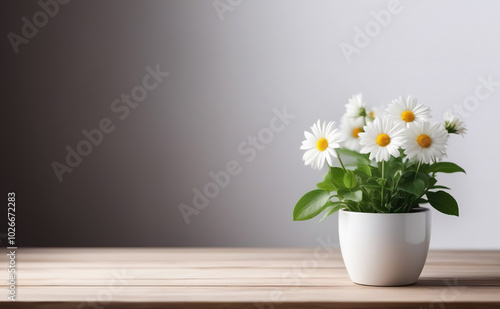 Wallpaper Mural White daisies in a white ceramic pot on a wooden table, light background, space for text in left part Torontodigital.ca