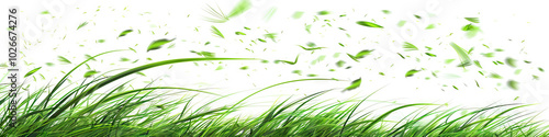 Grassy Green Lawn: A single blades of grass bends in the breeze, eventually snapping and falling to the ground. photo