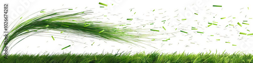 Grassy Green Lawn: A single blades of grass bends in the breeze, eventually snapping and falling to the ground. photo