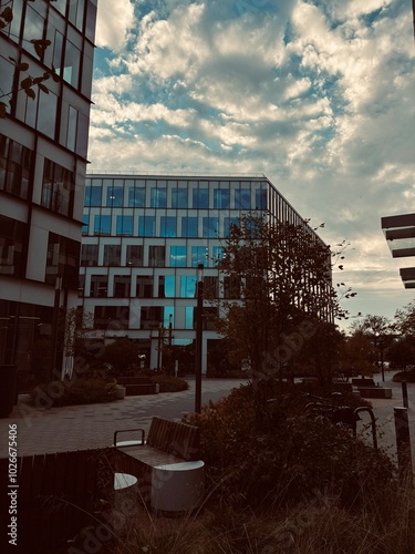 Photos The sky made the city look softer today.