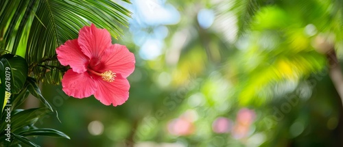  A pink flower atop a lush, green forest of leafy trees