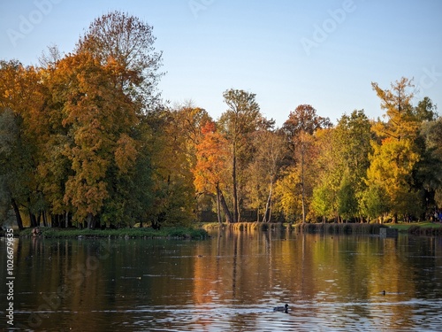 autumn in the park