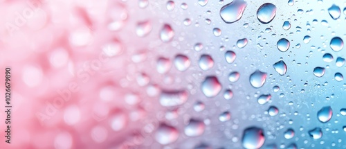  Close-up of water droplets on glass with pink and blue background