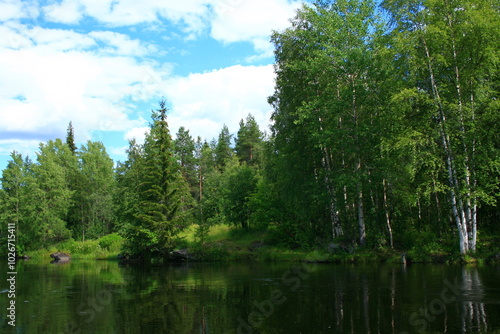 lake in the forest