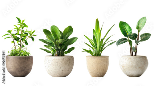 Beautiful Greenery in Ceramic Pots for Stylish Indoor Decoration Generative AI