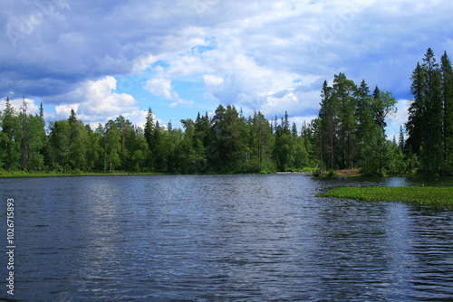 lake in the forest