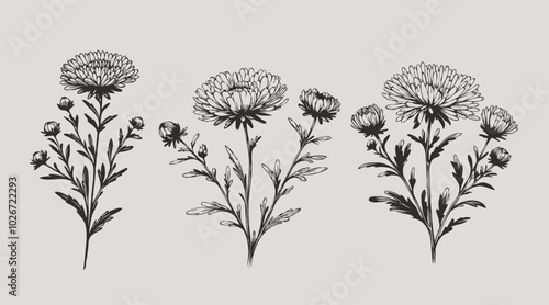 Adobe Illustrator Artwork
Aster, dahlia, chrysanthemum sketch flowers
illustration outline of a flower
black and white line art, lineart
set of contour flower, line art of flowers, leaves