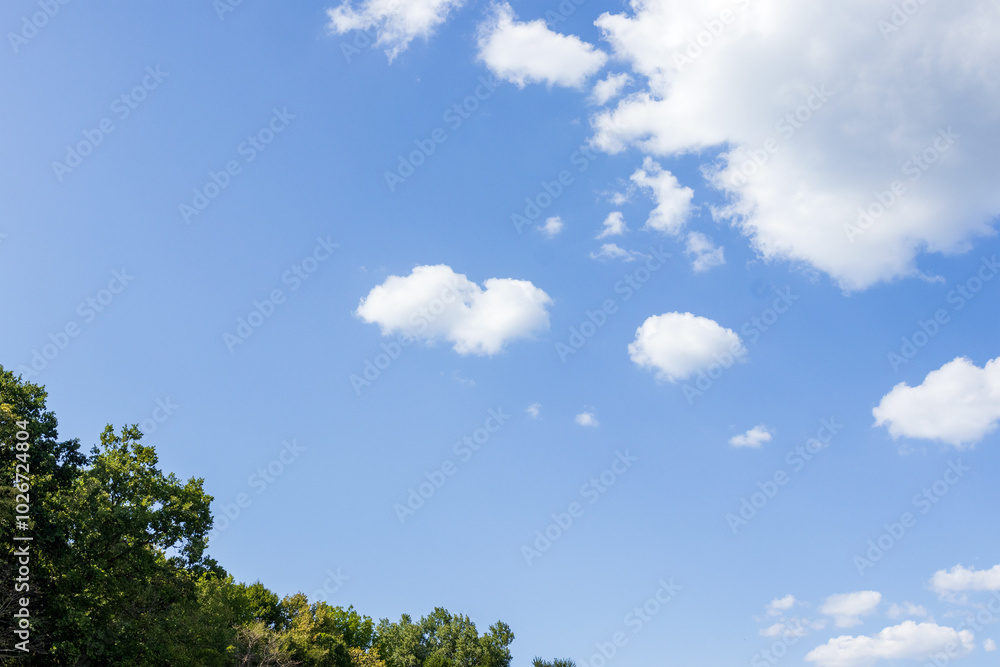 The summer period in nature , the sky on a sunny day with voluminous clouds The summer period in nature , the sky on a sunny day with voluminous clouds