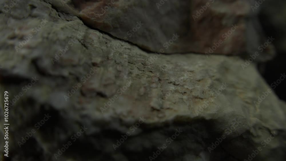 Close-Up of Rough Rock Surface with Natural Patterns Close-Up of Rough Rock Surface with Natural Patterns