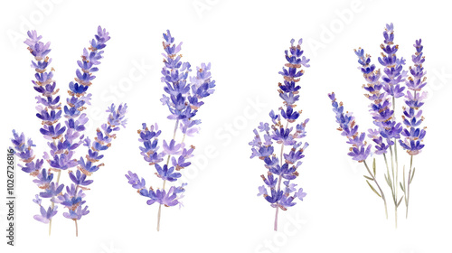 Borders of Tender Lavender Flowers in Soft Watercolor Hues Generative AI