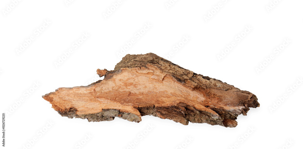 Fototapeta premium One piece of tree bark isolated on white, top view