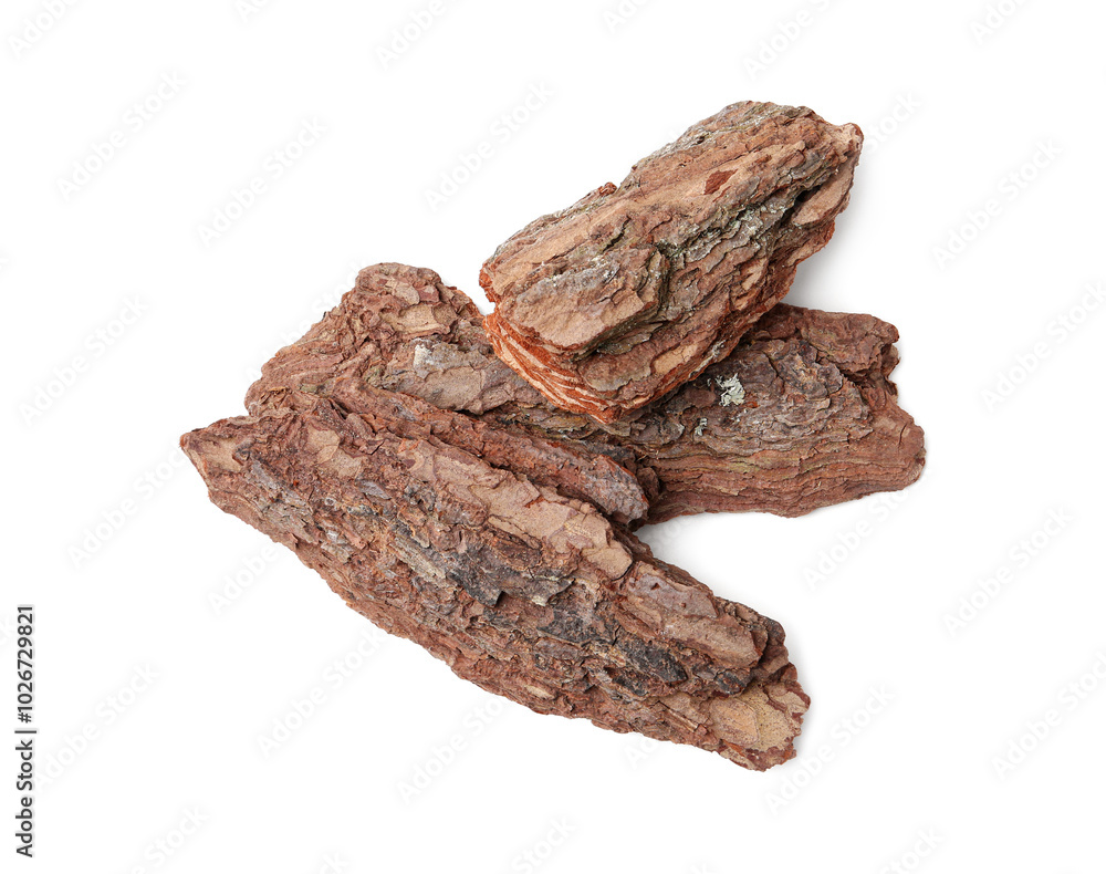 Pieces of tree bark on white background, above view Pieces of tree bark on white background, above view