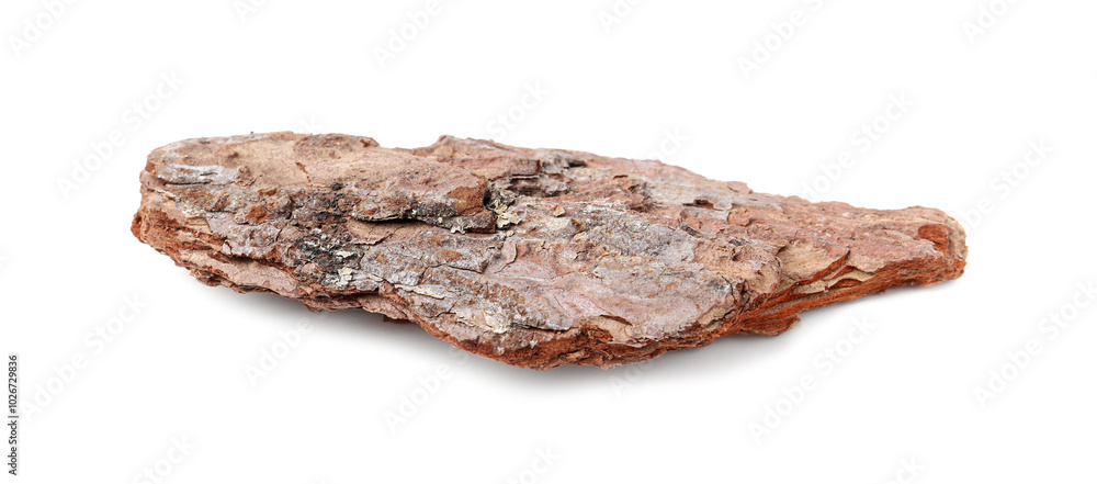 One piece of tree bark on white background One piece of tree bark on white background