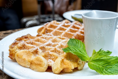 Belgian Waffles Served with Maple Syrup plated with Mint Leaves on the Side