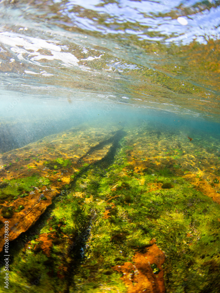 Rock and moss under the water surface. Rock and moss under the water surface.