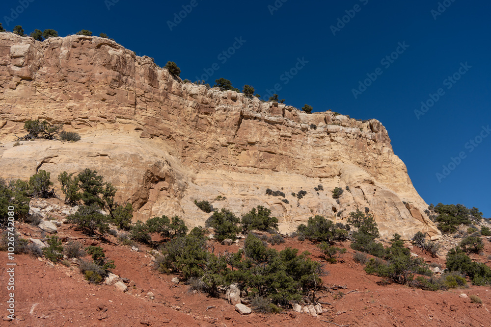 Fototapeta premium Rocky hillside with a few trees on it