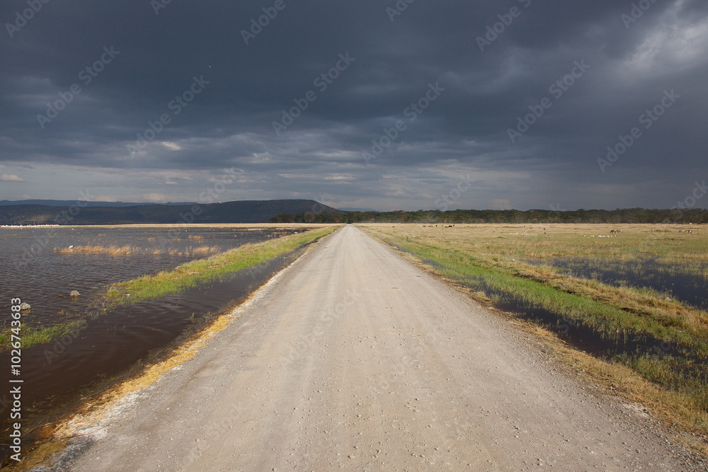 road to the sky in the savannah, Serengeti road to the sky in the savannah, Serengeti