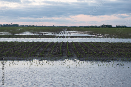 flooded farm field ground corn crop in Midwest Iowa