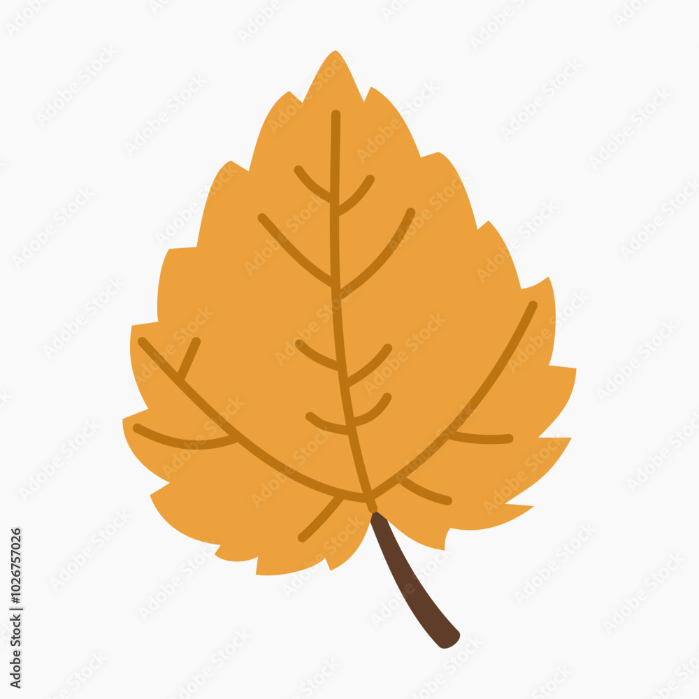 Fototapeta premium Autumn birch leaf vector illustration isolated on white background