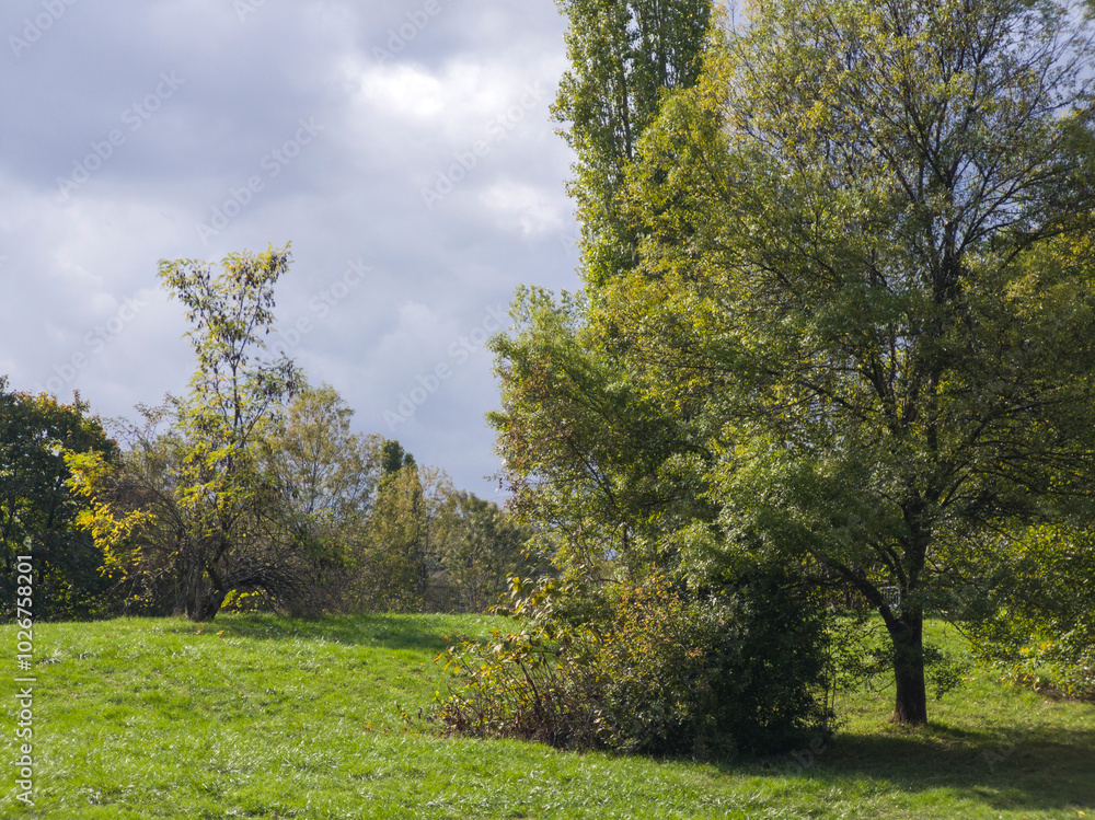 Naklejka premium Autumn view of South Park in city of Sofia, Bulgaria