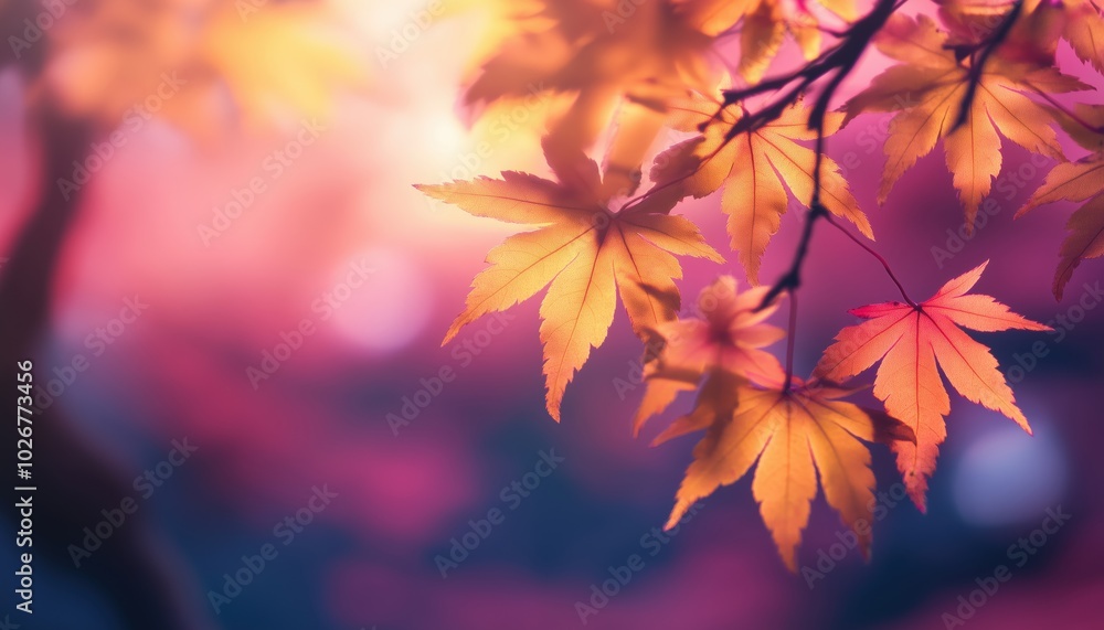 Vibrant Yellow And Red Maple Leaves On Autumn Tree Branches With Blurred Background In Fall Park: Close-Up View Of Nature'S Beauty Vibrant Yellow And Red Maple Leaves On Autumn Tree Branches With Blurred Background In Fall Park: Close-Up View Of Nature'S Beauty